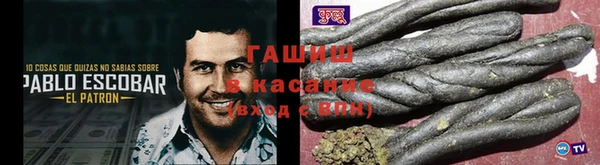 шишки Гусев
