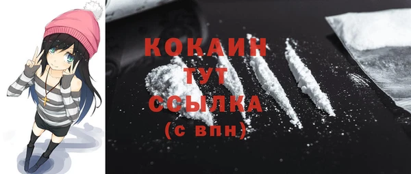 шишки Гусев