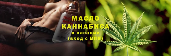 сатива Гусь-Хрустальный