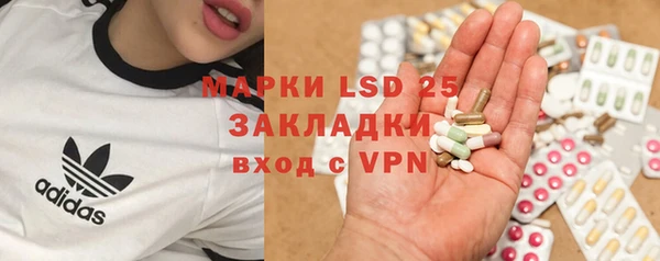 сатива Гусь-Хрустальный