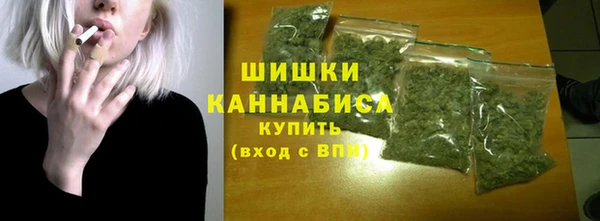 шишки Гусев