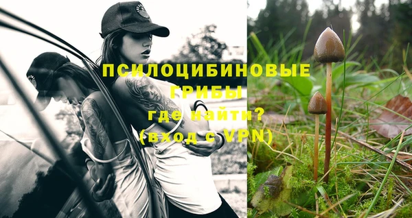 тгк Дубовка