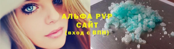 сатива Гусь-Хрустальный