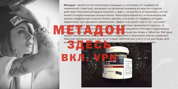 сатива Гусь-Хрустальный