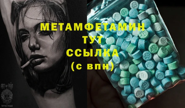 шишки Гусев