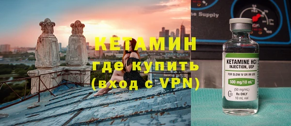 сатива Гусь-Хрустальный