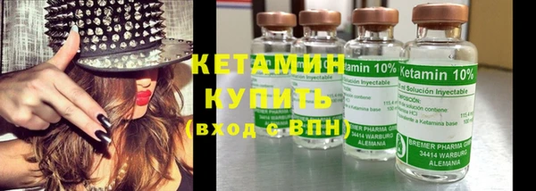 шишки Гусев