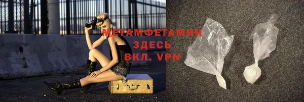 шишки Гусев