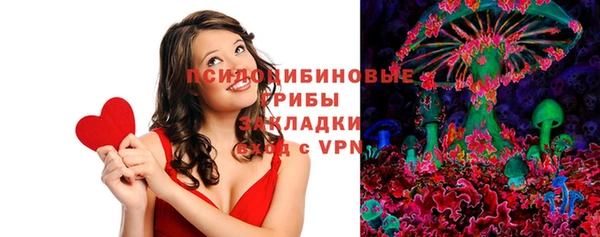 шишки Гусев