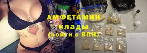 шишки Гусев