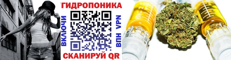 Шишки марихуана планчик Новая Ладога